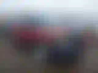Vehicle Image- 2015 Ford Explorer