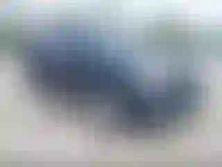 Vehicle Image- 2016 Ford Explorer