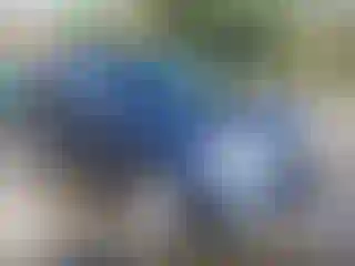 Vehicle Image- 2017 Ford Explorer