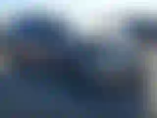 Vehicle Image- 2017 Ford Explorer