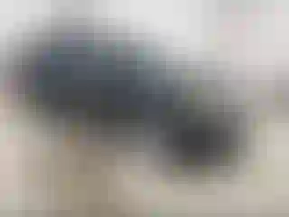 Vehicle Image- 2013 Ford Explorer