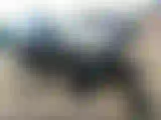 Vehicle Image- 2017 Ford Explorer