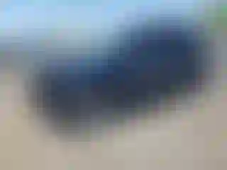 Vehicle Image- 2016 Ford Explorer