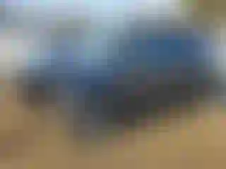 Vehicle Image- 2016 Ford Explorer