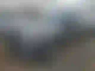 Vehicle Image- 2017 Ford Explorer