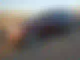 Vehicle Image- 2016 Ford Explorer