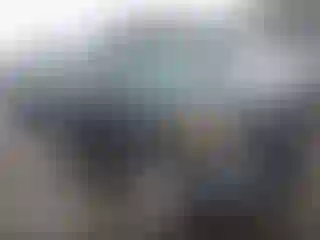 Vehicle Image- 2014 Ford Explorer