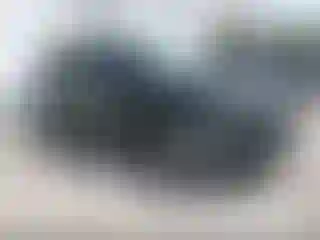 Vehicle Image- 2019 Ford Explorer