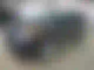 Vehicle Image- 2014 Ford Explorer