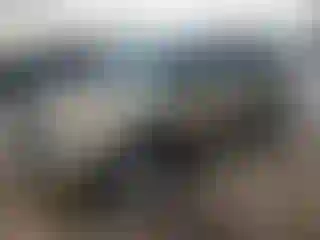Vehicle Image- 2013 Ford Explorer