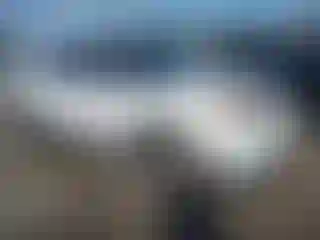 Vehicle Image- 2014 Ford Explorer