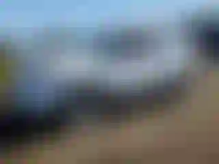 Vehicle Image- 2013 Ford Explorer