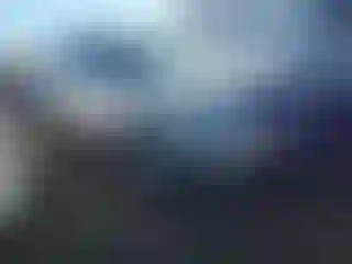 Vehicle Image- 2017 Ford Explorer