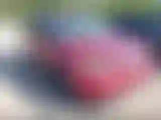 Vehicle Image- 2013 Ford Explorer