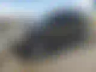 Vehicle Image- 2015 Ford Explorer