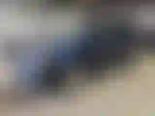 Vehicle Image- 2016 Ford Explorer