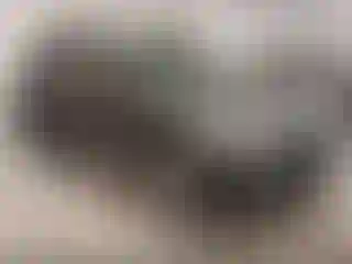 Vehicle Image- 2017 Ford Explorer