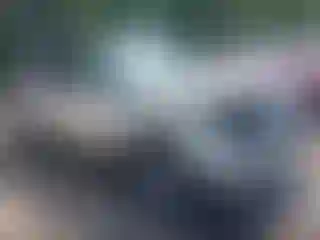 Vehicle Image- 2018 Ford Explorer