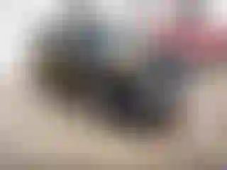 Vehicle Image- 2014 Ford Explorer