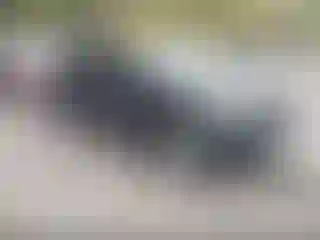 Vehicle Image- 2015 Ford Explorer