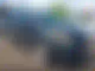 Vehicle Image- 2015 Ford Explorer