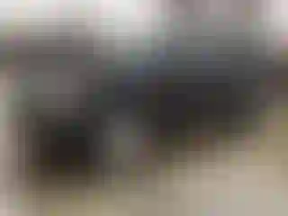 Vehicle Image- 2016 Ford Explorer