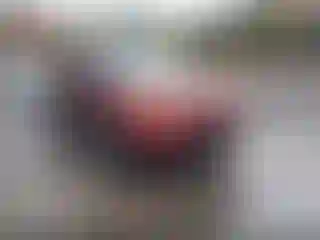 Vehicle Image- 2014 Ford Explorer