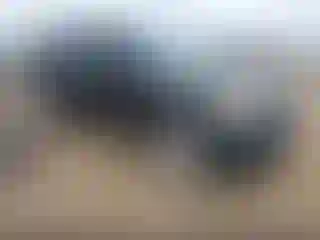 Vehicle Image- 2014 Ford Explorer