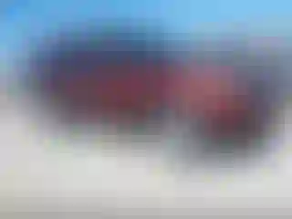 Vehicle Image- 2015 Ford Explorer