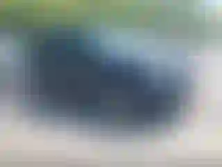 Vehicle Image- 2017 Ford Explorer