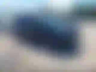 Vehicle Image- 2017 Ford Explorer