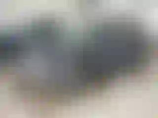 Vehicle Image- 2021 Ford Explorer