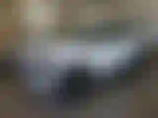 Vehicle Image- 2020 Ford Explorer