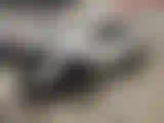 Vehicle Image- 2022 Ford Explorer
