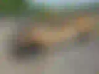 Vehicle Image- 2020 Ford Explorer