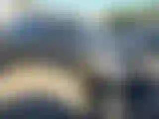 Vehicle Image- 2023 Ford Explorer