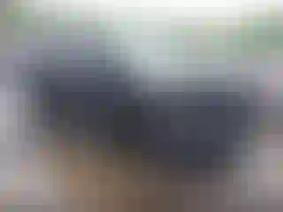 Vehicle Image- 2020 Ford Explorer
