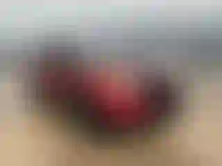 Vehicle Image- 2015 Ford Explorer