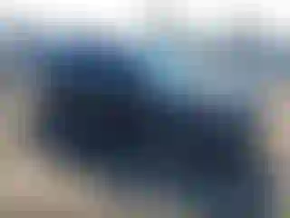 Vehicle Image- 2013 Ford Explorer