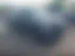 Vehicle Image- 2016 Ford Explorer