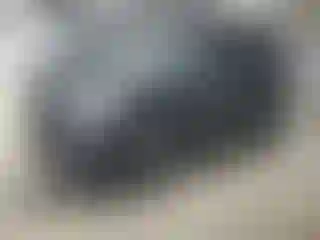 Vehicle Image- 2016 Ford Explorer