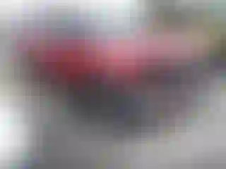 Vehicle Image- 2017 Ford Explorer
