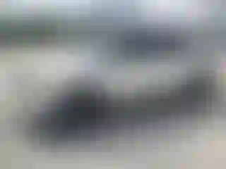 Vehicle Image- 2013 Ford Explorer