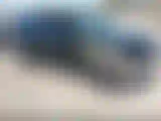 Vehicle Image- 2014 Ford Explorer