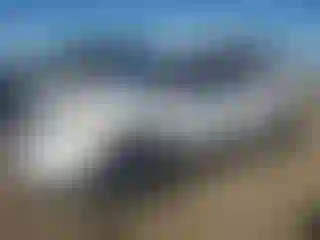 Vehicle Image- 2015 Ford Explorer
