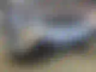 Vehicle Image- 2014 Ford Explorer