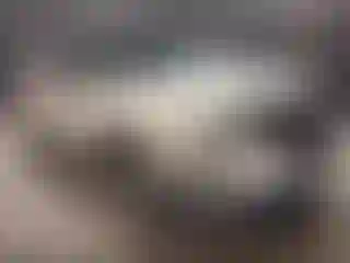 Vehicle Image- 2017 Ford Explorer