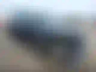 Vehicle Image- 2018 Ford Explorer