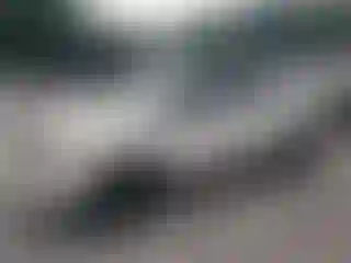 Vehicle Image- 2013 Ford Explorer