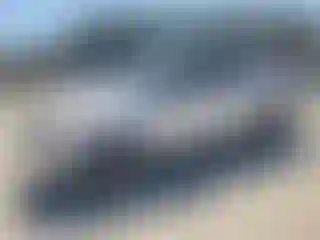 Vehicle Image- 2015 Ford Explorer
